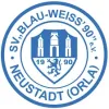 SV Blau-Weiß 90 Neustadt III