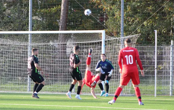 26.10.2024 SG SV Hermsdorf/Thürgen vs. FC Chemie Triptis