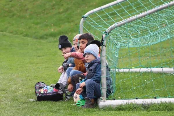 31.10.2024 FC Chemie Triptis vs. SV Grün-Weiß Tanna