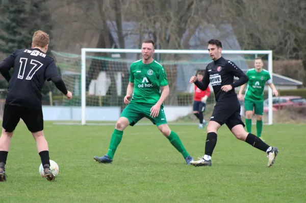 29.03.2025 FC Chemie Triptis vs. SV Jena-Zwätzen II